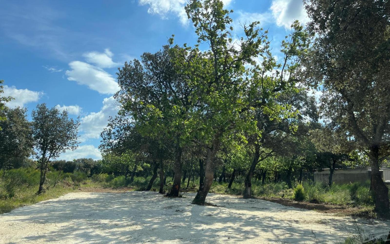 Pierrange Διαμέρισμα Grillon Εξωτερικό φωτογραφία